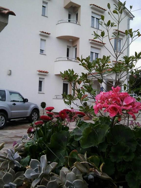 Garfild Guest House 노비비노돌스키 외부 사진